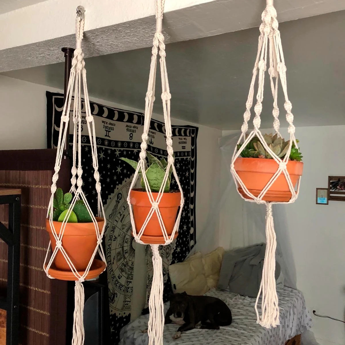 Handmade Macrame Plant Hanger Flower Pot Planter Hanger for Wall Decorations Courtyard Garden Hanging Planter Hanging Basket