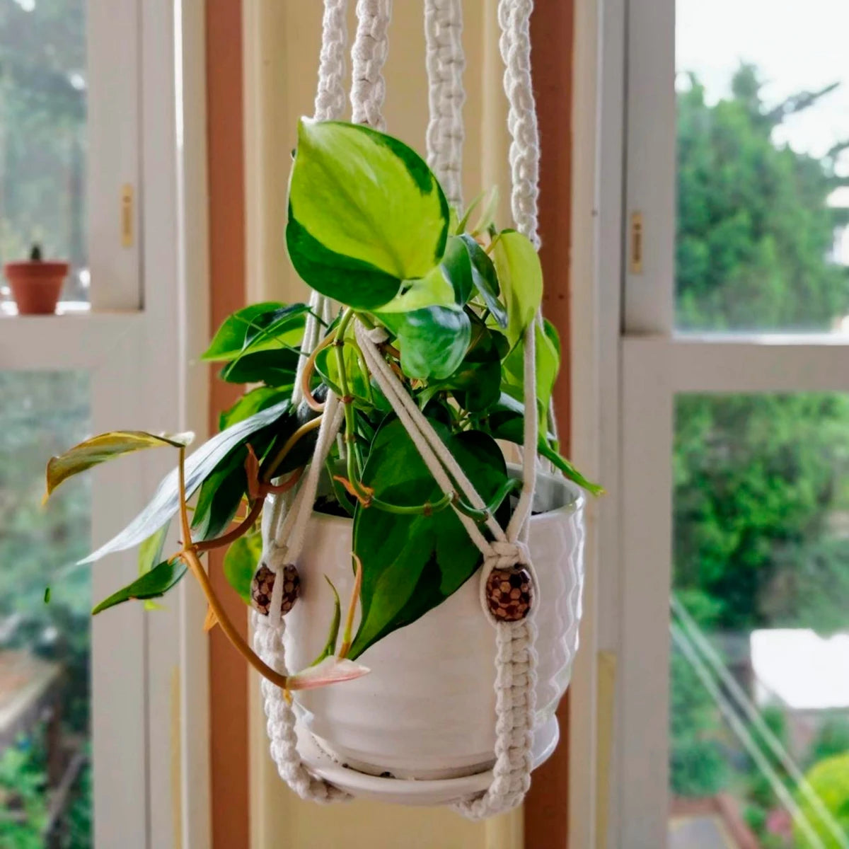 Handmade Macrame Plant Hanger Flower Pot Planter Hanger for Wall Decorations Courtyard Garden Hanging Planter Hanging Basket