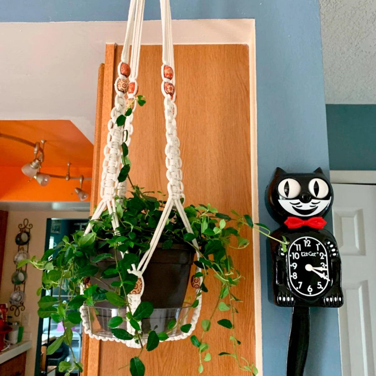 Handmade Macrame Plant Hanger Flower Pot Planter Hanger for Wall Decorations Courtyard Garden Hanging Planter Hanging Basket