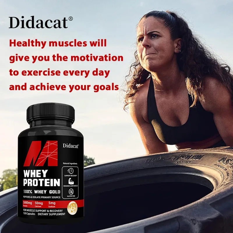 Didacat Whey Protein Concentrate, with 5000mg Protein, Gluten Free & Non-GMO, Boost Immunity and Support Post-exercise Recovery